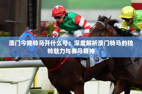 澳門(mén)今晚特馬開(kāi)什么號(hào)：深度解析澳門(mén)特馬的獨(dú)特魅力與賽馬精神