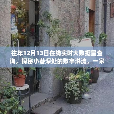 探秘小巷特色小店的大數(shù)據(jù)之旅，在線實(shí)時大數(shù)據(jù)量查詢揭秘數(shù)字洪流背后的故事——12月13日深度觀察