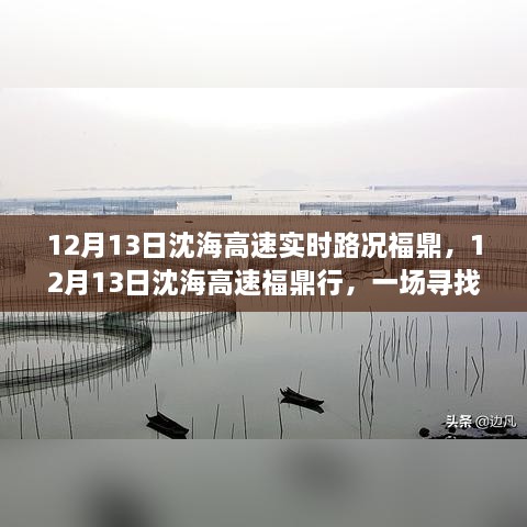 12月13日沈海高速福鼎路況實時更新，心靈與自然之旅的親密接觸