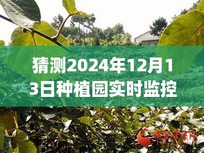 探索未來種植園的靜謐時(shí)光，綠意盎然的種植園實(shí)時(shí)監(jiān)控視頻猜想（2024年）