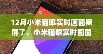 小米貓眼實(shí)時(shí)畫面黑屏問(wèn)題深度解析與評(píng)測(cè)