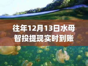 水母智投魔法日揭秘，如何在變化中把握自信與財(cái)富的實(shí)時到賬時刻