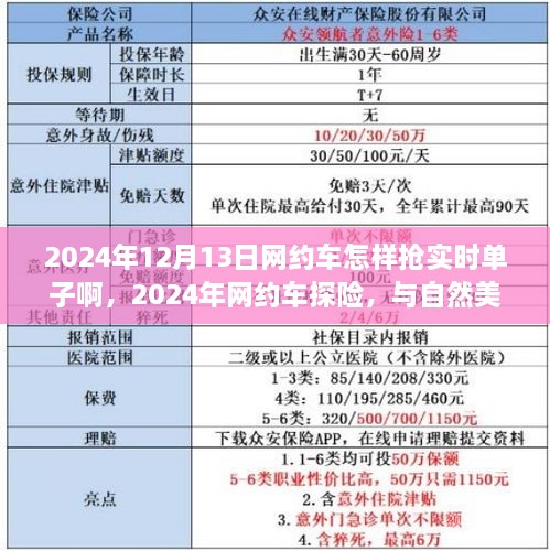 2024年網(wǎng)約車(chē)探險(xiǎn)，搶單攻略與自然美景的心靈之旅