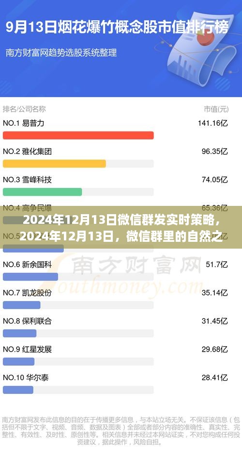 微信群內(nèi)探尋心靈之旅，寧?kù)o與遠(yuǎn)方風(fēng)景的實(shí)時(shí)策略分享