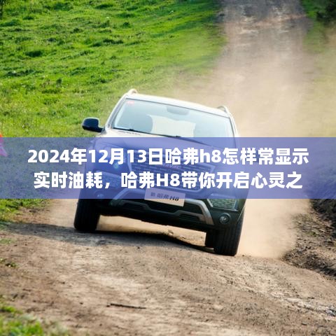 揭秘哈弗H8實(shí)時(shí)油耗顯示功能，心靈之旅中如何輕松掌握油耗信息？