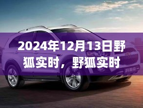 野狐實(shí)時，溫馨日常中的歡樂時光（2024年12月13日）