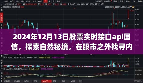 探索自然秘境與股市數(shù)據(jù)，國信股票實時接口API的寧靜之旅