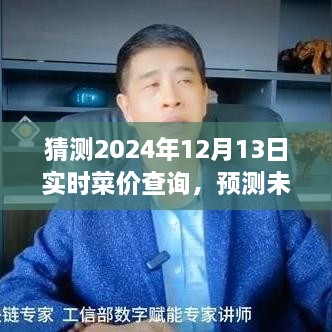 洞悉未來生活成本變化，預測與查詢指南——2024年12月13日實時菜價動態(tài)分析預測報告