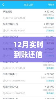 12月實(shí)時(shí)到賬，高效管理信用卡欠款，輕松還信用卡