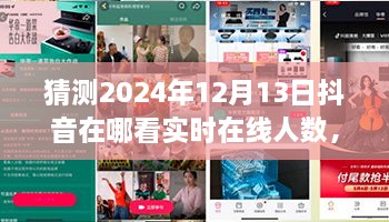 未來(lái)視野之旅，揭秘2024年抖音實(shí)時(shí)在線人數(shù)盛況——家庭日，在線情緣的見(jiàn)證