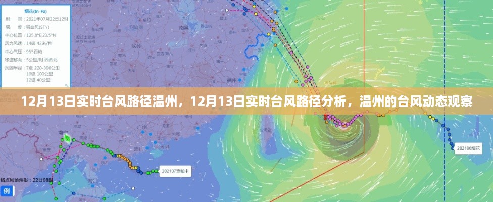 12月13日溫州臺風(fēng)路徑實時分析，最新動態(tài)與觀察報告