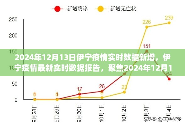 2024年12月13日伊寧疫情實(shí)時數(shù)據(jù)報告，聚焦最新新增情況