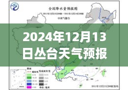 叢臺(tái)天氣預(yù)報(bào)實(shí)時(shí)洞察，2024年12月13日的天氣分析與影響