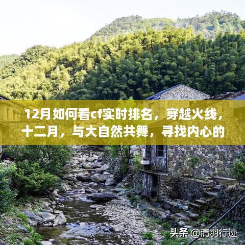 穿越火線十二月實時排名指南，尋找靜謐之地，與大自然共舞