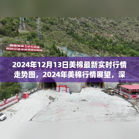 深度解析，2024年美棉行情展望與實時走勢圖背后的爭議