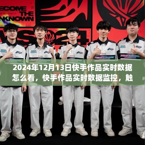 2024年快手作品實時數(shù)據(jù)監(jiān)控，觸手可及的未來視界科技新體驗