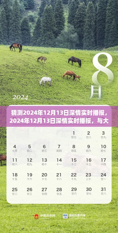 深情播報，與大自然共舞，尋找心靈寧靜之地——2024年12月13日深情實時播報