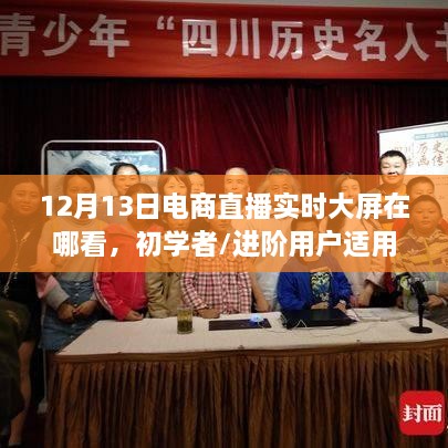 12月13日電商直播實時大屏觀看指南，初學(xué)者與進階用戶全攻略