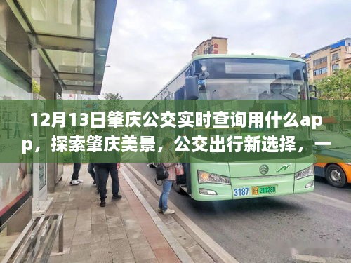 肇慶公交實時查詢APP，探索城市美景，心靈之旅的公交出行新伴侶