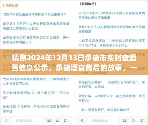承德酒宴背后的故事，酒駕信息公示探秘之旅（猜測2024年12月13日承德市實(shí)時(shí)查酒駕信息公示）