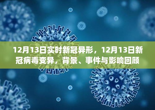 回顧，新冠病毒變異背景、事件與影響——以12月13日新冠病毒變異為例