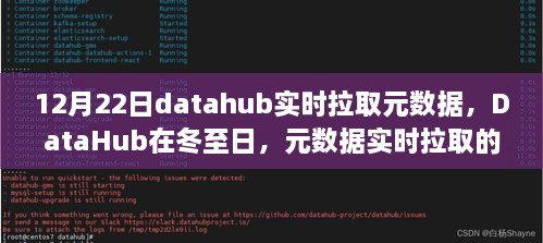 冬至日DataHub元數(shù)據(jù)實時拉取的進化之路與時代影響解析