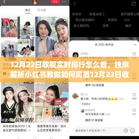 小紅書獨(dú)家解析，掌握12月22日收視實(shí)時(shí)排行，洞悉熱門節(jié)目風(fēng)向標(biāo)！