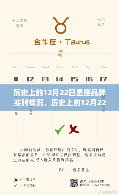 探尋星座品牌之旅，歷史上的12月22日星座品牌實時動態(tài)與心靈自然美景之旅