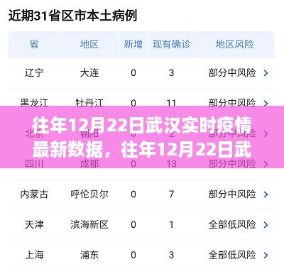 往年12月22日武漢實(shí)時(shí)疫情數(shù)據(jù)深度解析，特性、體驗(yàn)、競(jìng)品對(duì)比及用戶群體分析報(bào)告