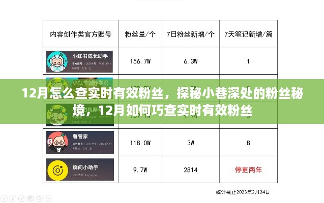 揭秘十二月粉絲秘境，如何巧查實時有效粉絲數(shù)量？
