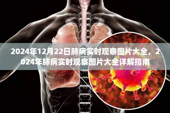 2024年肺病實時觀察圖片詳解指南，肺病實況與圖片大全