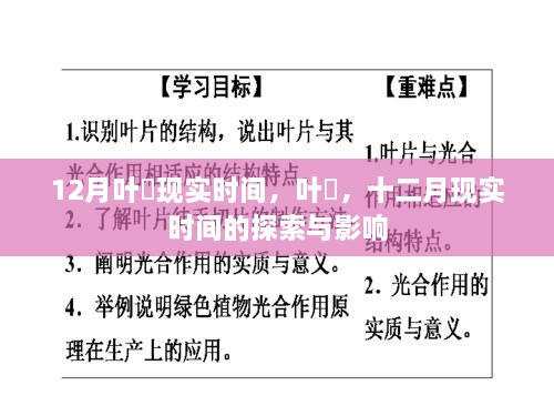 葉瑄，十二月現(xiàn)實(shí)時(shí)間的探索與影響