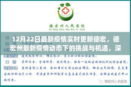 德宏州最新疫情動態(tài)下的挑戰(zhàn)與機遇深度解析，實時更新與觀點闡述