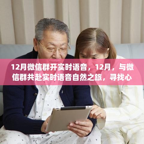 微信群實時語音之旅，尋找心靈港灣的寧靜十二月之旅