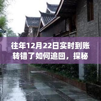 探秘小巷特色小店，實時轉(zhuǎn)賬失誤后的資金追回攻略