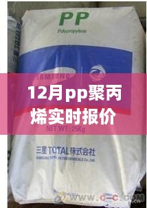 從入門到精通，查詢指南揭秘12月PP聚丙烯實時報價