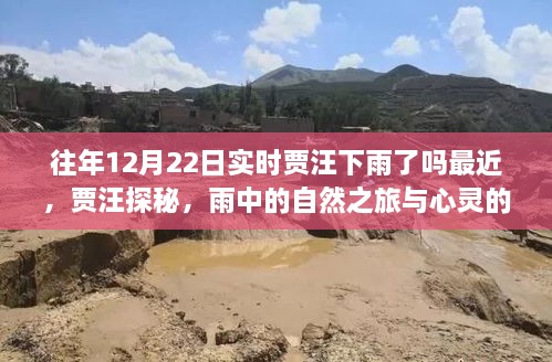 賈汪探秘，雨中之行與心靈寧靜的交融體驗（實時賈汪天氣查詢）