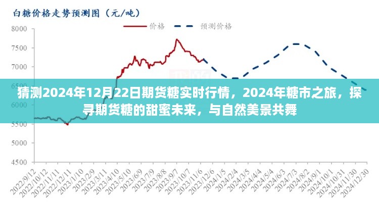 探尋期貨糖的甜蜜未來，預測2024年糖市行情與期貨糖實時行情展望