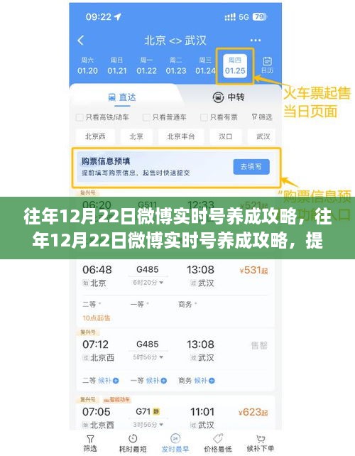往年12月22日微博實(shí)時(shí)號(hào)養(yǎng)成攻略，提升影響力的關(guān)鍵步驟詳解