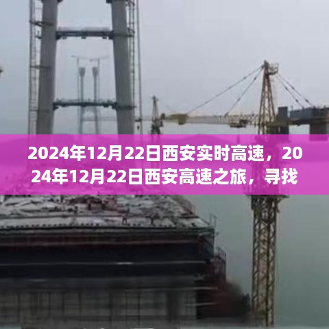 西安高速之旅，探尋自然懷抱，心靈寧靜之旅（2024年12月22日）