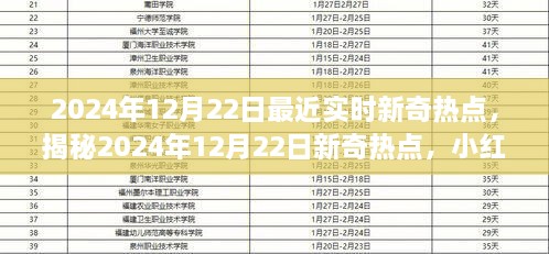 小紅書揭秘，2024年12月22日新奇熱點大揭秘，最新資訊一網(wǎng)打盡