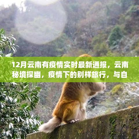 yitaiwanfang 第2頁