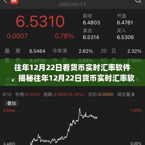 揭秘，往年12月22日貨幣實(shí)時(shí)匯率軟件的魅力與應(yīng)用體驗(yàn)