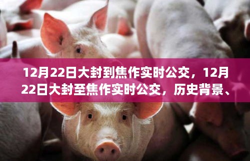 揭秘焦作大封至焦作公交歷史背景，重大事件與深遠(yuǎn)影響，實(shí)時(shí)公交路線解析