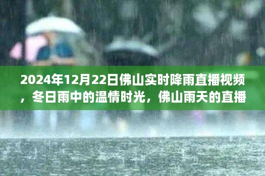 溫情時光與友情故事，佛山雨天直播實錄，實時降雨直播視頻