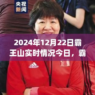 霸王山新篇章，學(xué)習(xí)變化中的自信與成就之旅（實時更新2024年12月22日）