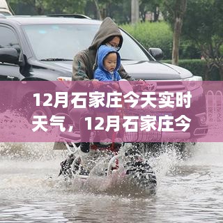 石家莊今日深度解析與體驗(yàn)分享，實(shí)時(shí)天氣報(bào)告（12月版）