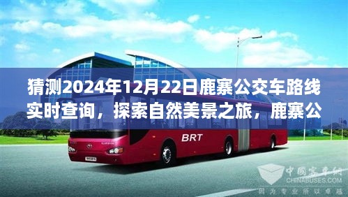 鹿寨公交路線新探秘，啟程2024年12月22日，探尋自然美景之旅實時查詢