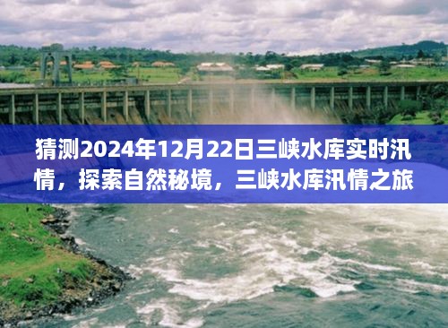 三峽水庫汛情探索，揭秘自然秘境，尋找內(nèi)心寧靜奇跡之旅（預(yù)測2024年汛情實錄）