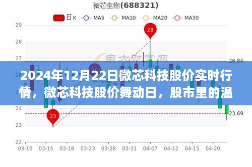微芯科技股價(jià)實(shí)時(shí)行情解析，股市中的溫情故事在舞動(dòng)日展現(xiàn)（2024年12月22日）